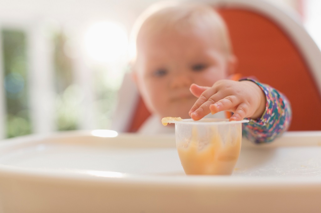 Baby Food Baby Food